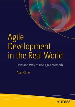 Cover of the book Agile Development in the Real World by Steven Flinn