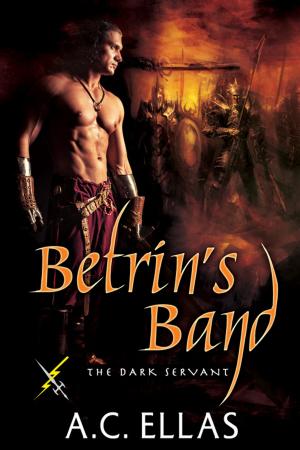 Cover of the book Betrin's Band by Confederacy of the Quill