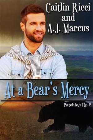 Cover of the book At A Bear's Mercy by B.D. Ward