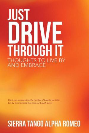 Cover of the book Just Drive Through It by Ruth Noga Roulx.