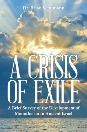 Cover of the book A Crisis of Exile by Donald Hilliard, Jr., D.Min