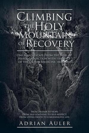 Cover of the book Climbing the Holy Mountain of Recovery by Cryford Mumba