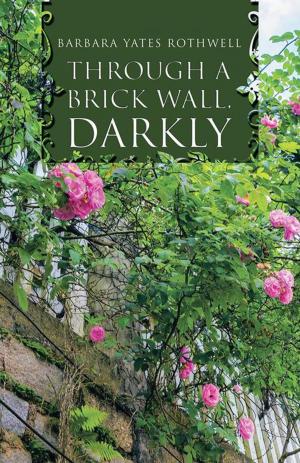 Cover of the book Through a Brick Wall, Darkly by Baha Burhan