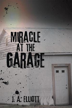 Cover of the book Miracle at the Garage by Jim Jackson