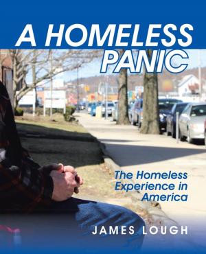 Cover of the book A Homeless Panic by Bill York