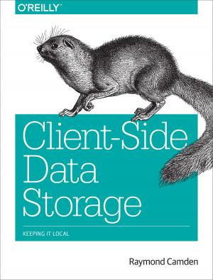 Cover of the book Client-Side Data Storage by Nicholas J. Radcliffe, Nicholas H. Tollervey
