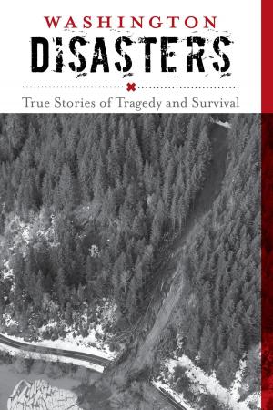Cover of the book Washington Disasters by Bruce Gellerman, Erik Sherman