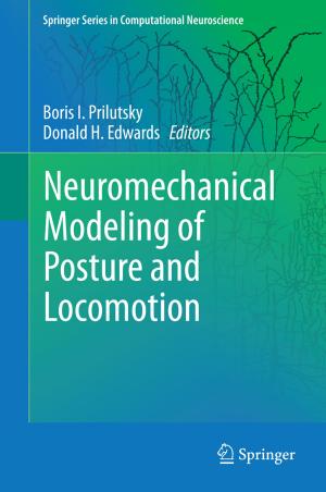Cover of the book Neuromechanical Modeling of Posture and Locomotion by Leila De Floriani, Paola Magillo, Federico Iuricich, Lidija Čomić