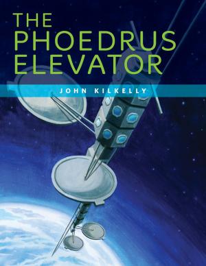 Cover of the book The Phoedrus Elevator by Ashlee Nicole Bye