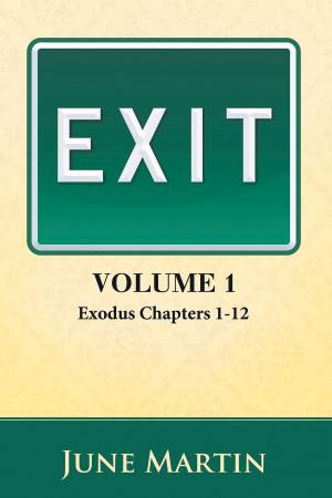Cover of the book Exit: Exodus Chapters 1-12 by David Faulkner