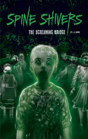 Cover of the book The Screaming Bridge by Jake Maddox