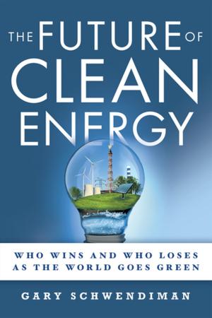 Cover of the book The Future of Clean Energy by Mirabotalib Kazemie