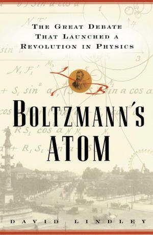 Cover of the book Boltzmanns Atom by Israel Finkelstein, Neil Asher Silberman