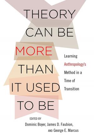 Cover of the book Theory Can Be More than It Used to Be by Abbey Steele