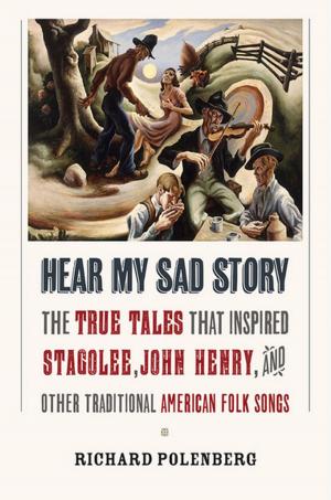 Cover of the book Hear My Sad Story by Walter J. Ong