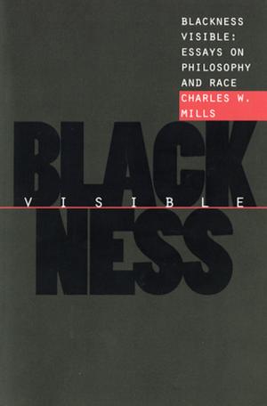 Book cover of Blackness Visible