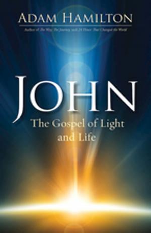 Cover of the book John by Leslie D. Weatherhead