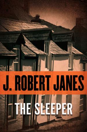 Cover of the book The Sleeper by JH Gordon