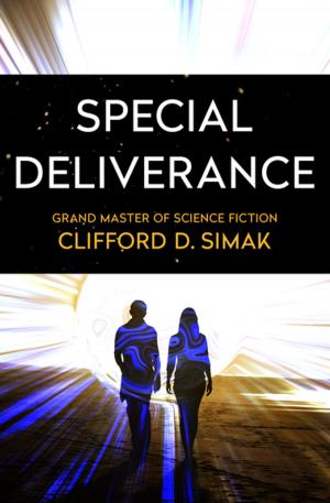 Cover of the book Special Deliverance by Tom Birdseye