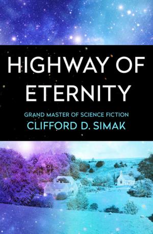 Cover of the book Highway of Eternity by Jessica Amanda Salmonson