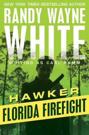 Cover of the book Florida Firefight by Burke Davis