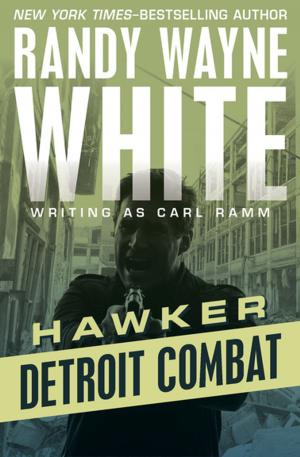 Cover of the book Detroit Combat by Adam Mansbach, Douglas Mcgowan