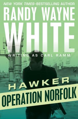 Cover of the book Operation Norfolk by Geoffrey Household