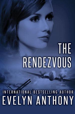 Cover of the book The Rendezvous by Tedd Thomey