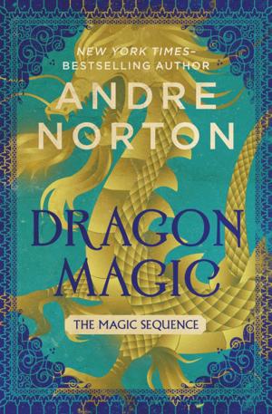 Book cover of Dragon Magic