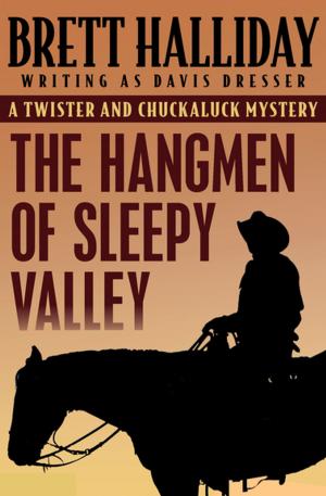 Cover of the book The Hangmen of Sleepy Valley by Fred Robel
