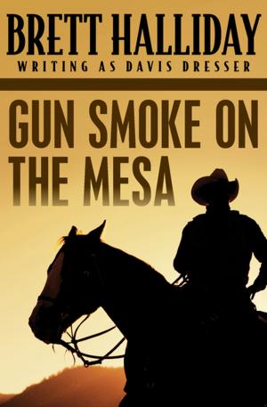 Cover of the book Gun Smoke on the Mesa by Elizabeth McDavid Jones