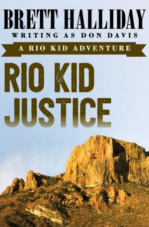 Cover of the book Rio Kid Justice by Vance Bourjaily