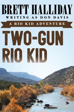 Cover of the book Two-Gun Rio Kid by Stewart Meyer