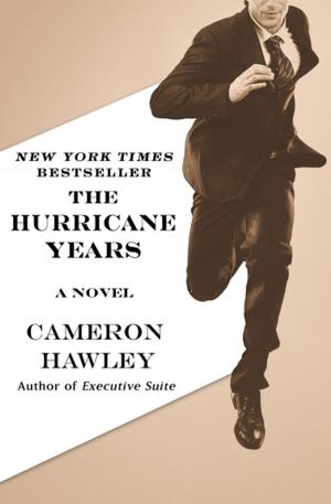 Cover of the book The Hurricane Years by Doug Knell