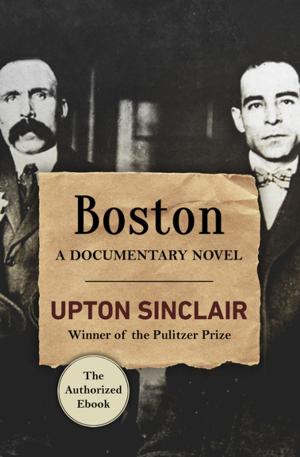 Cover of the book Boston by Ellen Datlow