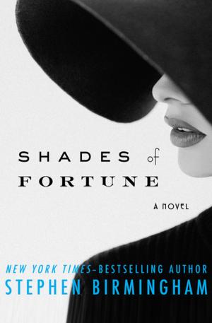 Cover of the book Shades of Fortune by Orr Kelly