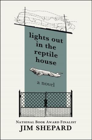 bigCover of the book Lights Out in the Reptile House by 