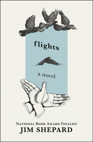 Cover of the book Flights by Joe Haldeman