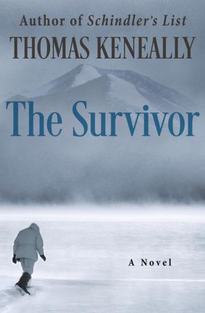 Cover of the book The Survivor by Norma Fox Mazer