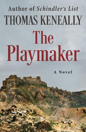 bigCover of the book The Playmaker by 