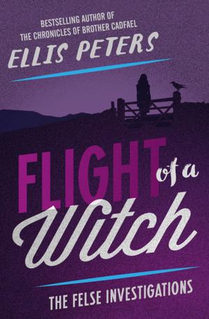 Cover of the book Flight of a Witch by Chuck Antone Jr