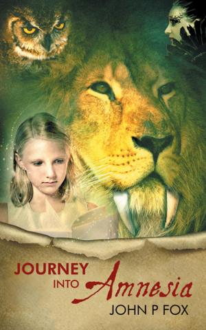 Cover of the book Journey into Amnesia by Gijsbert J.B. Sulman