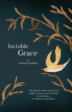 Cover of the book Invisible Grace by Dr. Robin Wallace