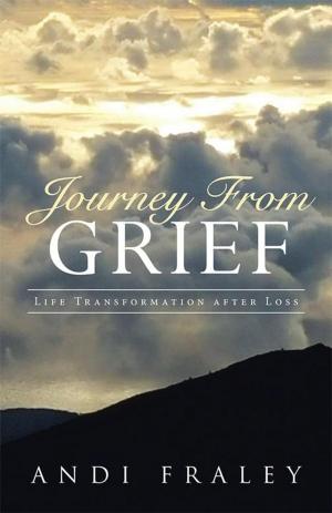 Cover of the book Journey from Grief by Dan Brooks