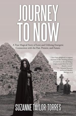 Book cover of Journey to Now