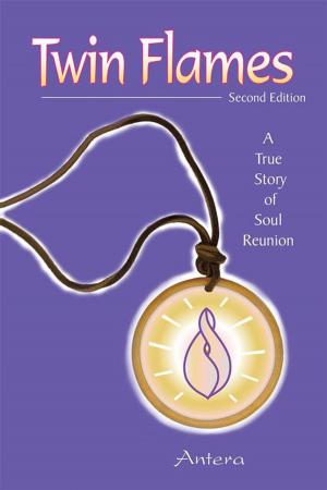 Cover of the book Twin Flames by Meg Harrison