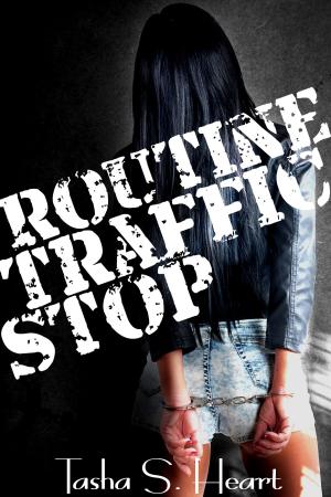 Cover of the book Routine Traffic Stop-volume 1 by Jacqueline Applebee
