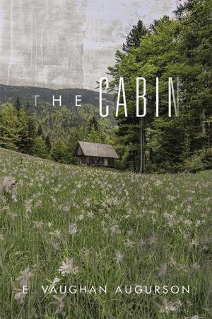 Cover of the book The Cabin by RS Perry
