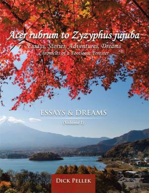 Cover of the book Acer Rubrum to Zyzyphus Jujuba by Thomas E. Hoolsema, Jr.