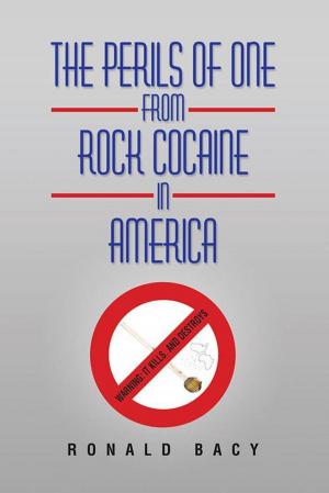 Cover of the book The Perils of One from Rock Cocaine in America by Tim Drake
